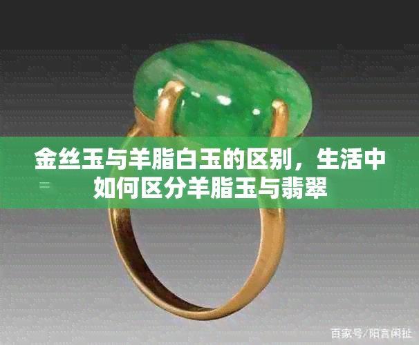 金丝玉与羊脂白玉的区别,生活中如何区分羊脂玉与翡翠