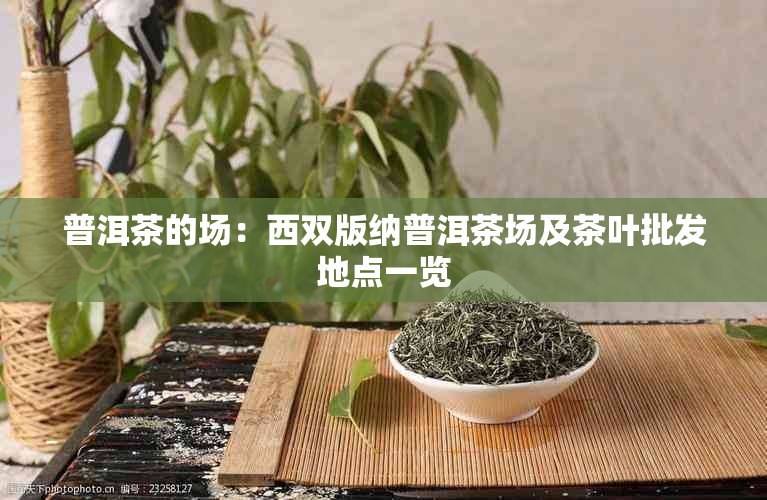 普洱茶的场：西双版纳普洱茶场及茶叶批发地点一览