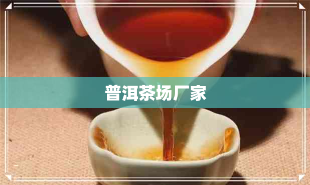 普洱茶场厂家