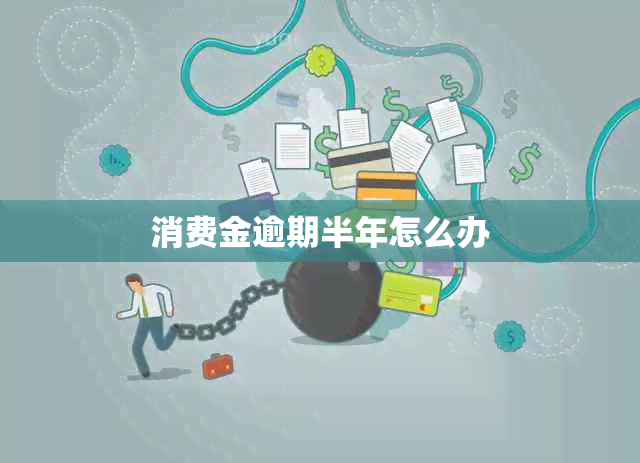 消费金逾期半年怎么办