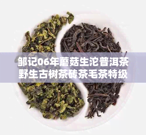 邹记06年蘑菇生沱普洱茶野生古树茶砖茶毛茶特级收藏陈香浓厚