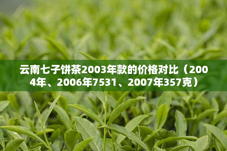 云南七子饼茶2003年款的价格对比（2004年、2006年7531、2007年357克）