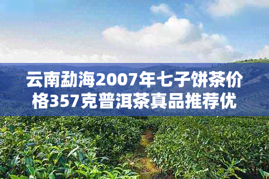云南勐海2007年七子饼茶价格357克普洱茶真品推荐优质普洱茶