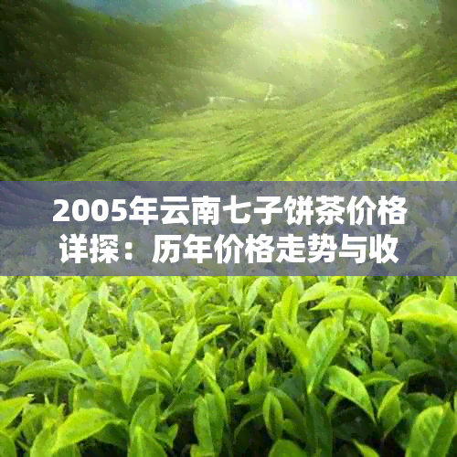 2005年云南七子饼茶价格详探:历年价格走势与收藏价值解析