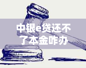中银e贷还不了本金咋办