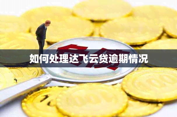 如何处理达飞云贷逾期情况