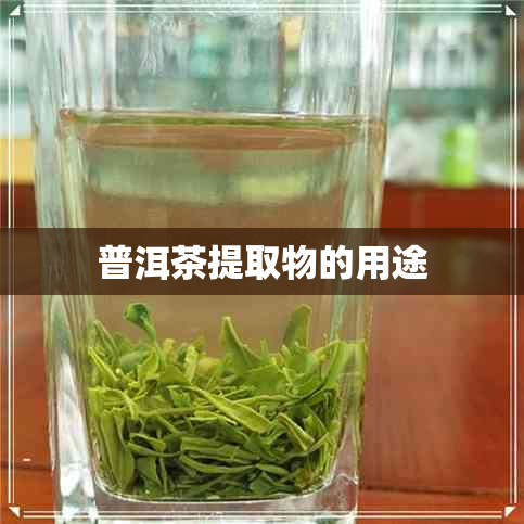 普洱茶提取物的用途 普洱茶提取物的用途
