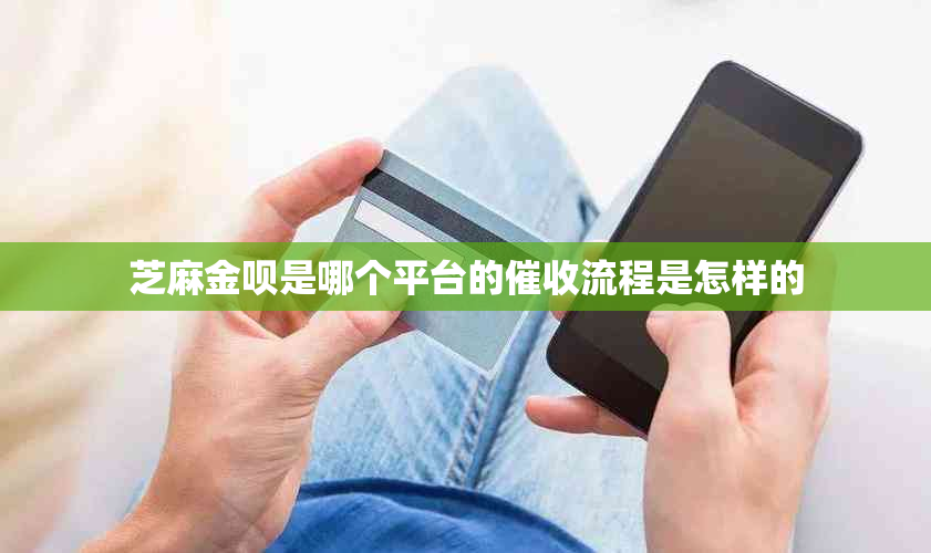 芝麻金呗是哪个平台的流程是怎样的