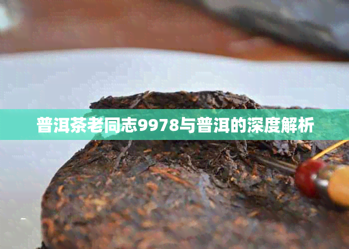 普洱茶老同志9978与普洱的深度解析