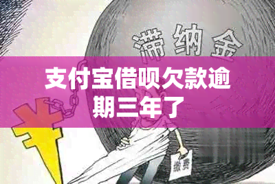 支付宝网贷欠款逾期三年了