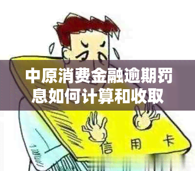 中原消费金融逾期罚息如何计算和收取