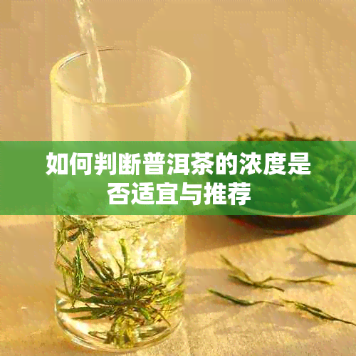 如何判断普洱茶的浓度是否适宜与推荐