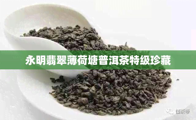 永明翡翠薄荷塘普洱茶特级珍藏