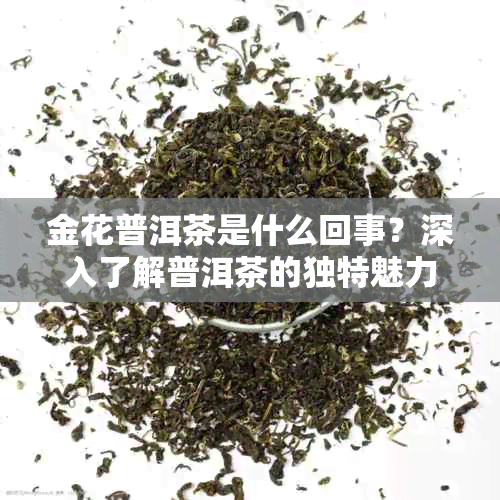 金花普洱茶是什么回事？深入了解普洱茶的独特魅力