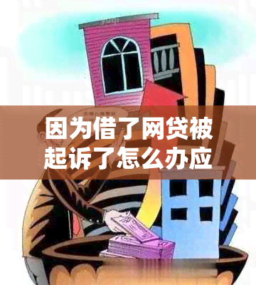 因为借了网贷被起诉了怎么办应该如何处理
