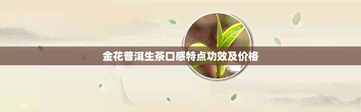 金花普洱生茶口感特点功效及价格