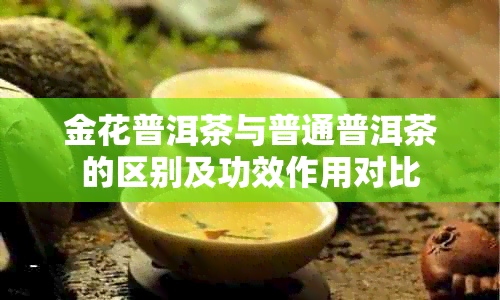 金花普洱茶与普通普洱茶的区别及功效作用对比