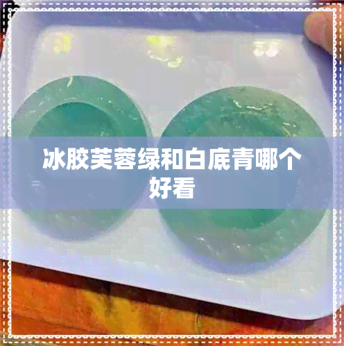 冰胶芙蓉绿和白底青哪个好看