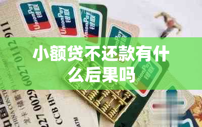 小额贷不还款有什么后果吗