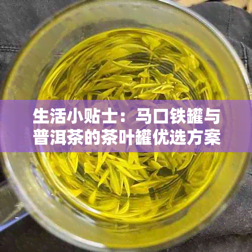 生活小贴士：马口铁罐与普洱茶的茶叶罐优选方案