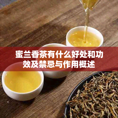 蜜兰香茶有什么好处和功效及禁忌与作用概述