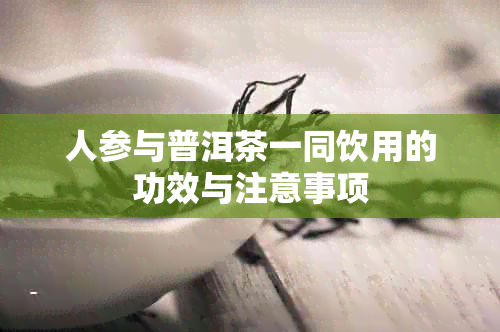 人参与普洱茶一同饮用的功效与注意事项