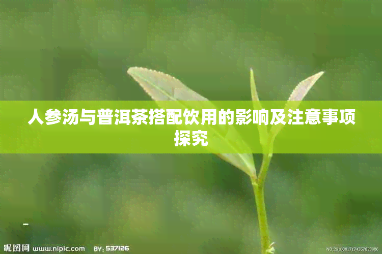 人参汤与普洱茶搭配饮用的影响及注意事项探究