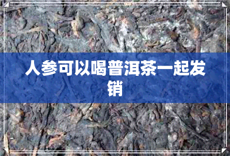 人参可以喝普洱茶一起发销