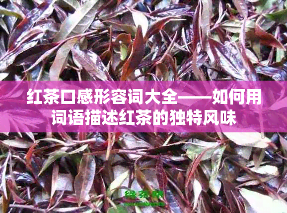 红茶口感形容词大全——如何用词语描述红茶的独特风味