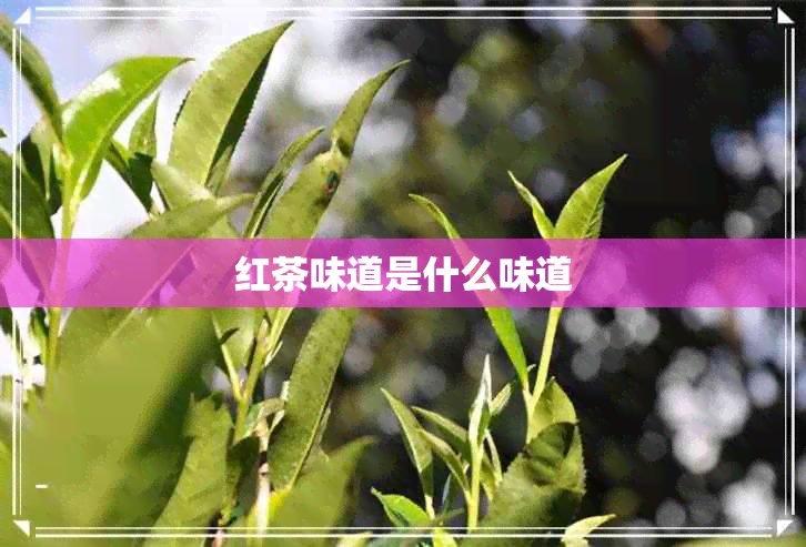 红茶味道是什么味道