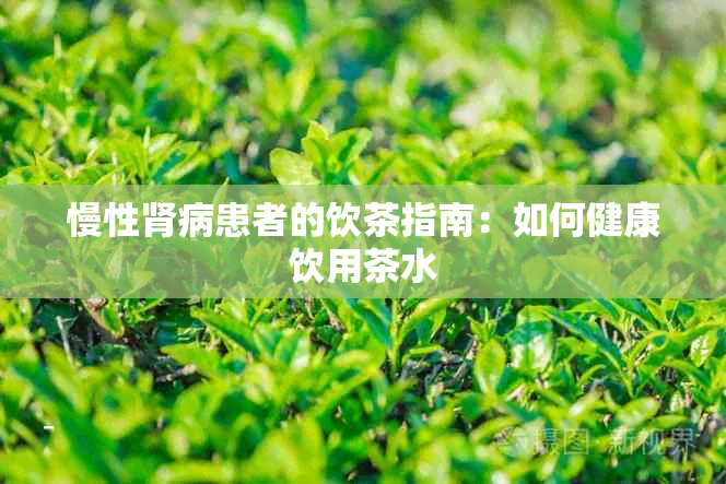 慢性肾病患者的饮茶指南：如何健康饮用茶水