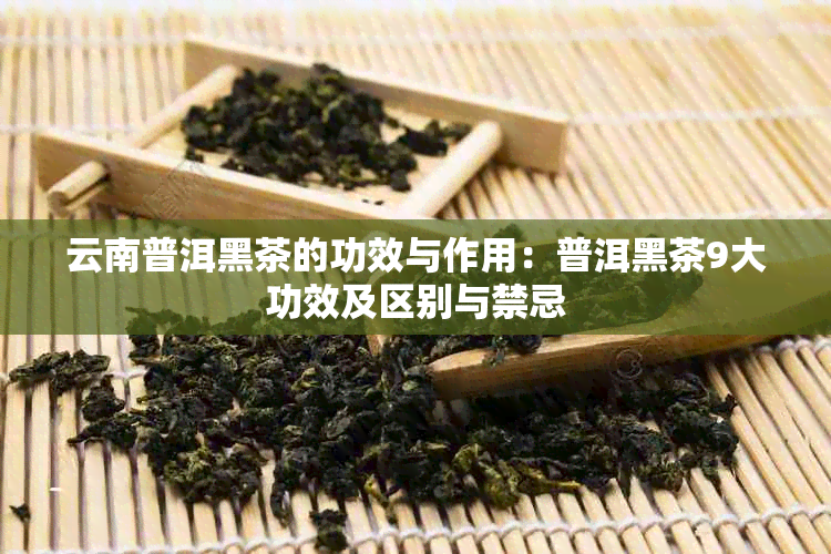 云南普洱黑茶的功效与作用：普洱黑茶9大功效及区别与禁忌