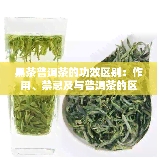 黑茶普洱茶的功效区别：作用、禁忌及与普洱茶的区别概述
