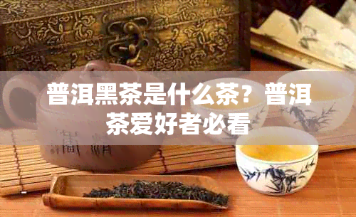 普洱黑茶是什么茶？普洱茶爱好者必看
