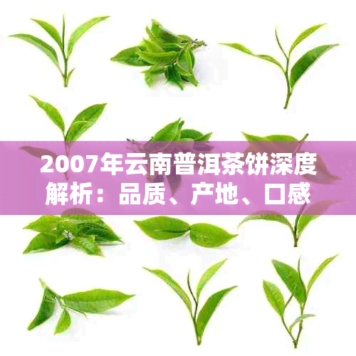 2007年云南普洱茶饼深度解析：品质、产地、口感、价格与收藏指南全方位揭秘
