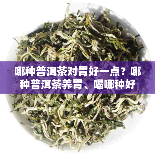 哪种普洱茶对胃好一点？哪种普洱茶养胃、喝哪种好？