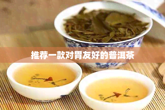 推荐一款对胃友好的普洱茶