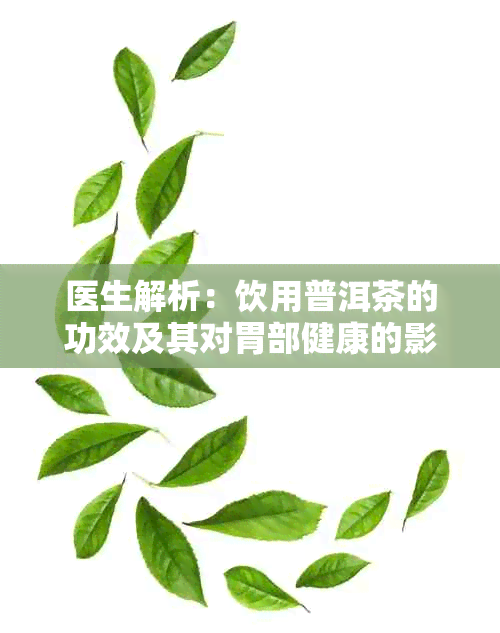 医生解析:饮用普洱茶的功效及其对胃部健康的影响