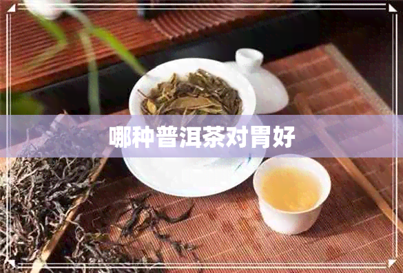 哪种普洱茶对胃好 哪种普洱茶对胃好