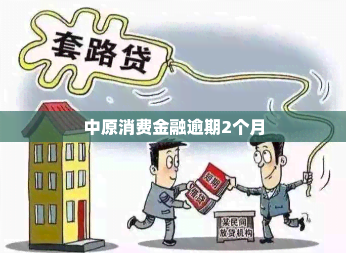 中原消费金融逾期2个月