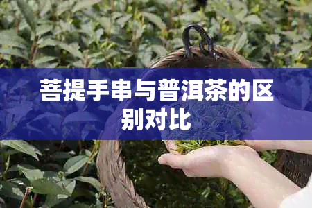 菩提手串与普洱茶的区别对比
