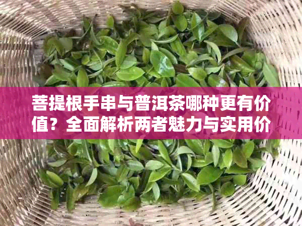 菩提根手串与普洱茶哪种更有价值?全面解析两者魅力与实用价值