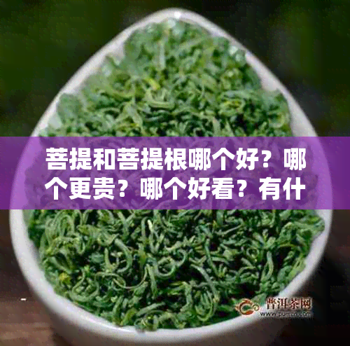 菩提和菩提根哪个好？哪个更贵？哪个好看？有什么区别？