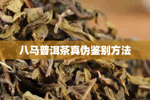 八马普洱茶真伪鉴别方法