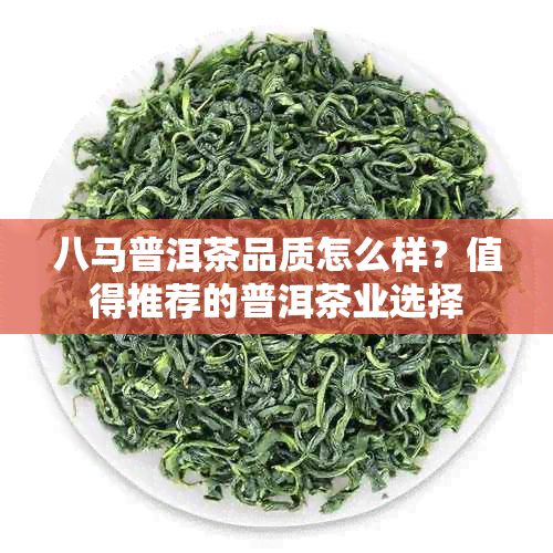 八马普洱茶品质怎么样?值得推荐的普洱茶业选择