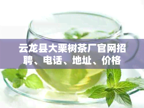 云龙县大栗树茶厂官网招聘、电话、地址、价格
