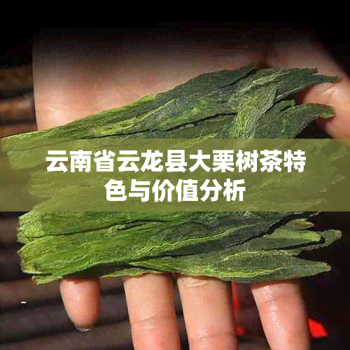 云南省云龙县大栗树茶特色与价值分析