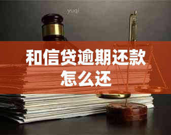 和信贷逾期还款怎么还