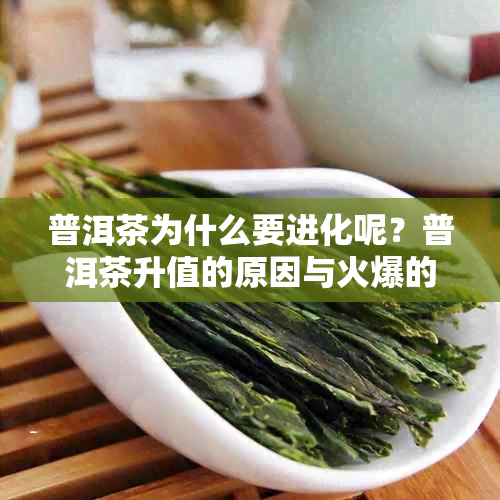 普洱茶为什么要进化呢？普洱茶升值的原因与火爆的因素