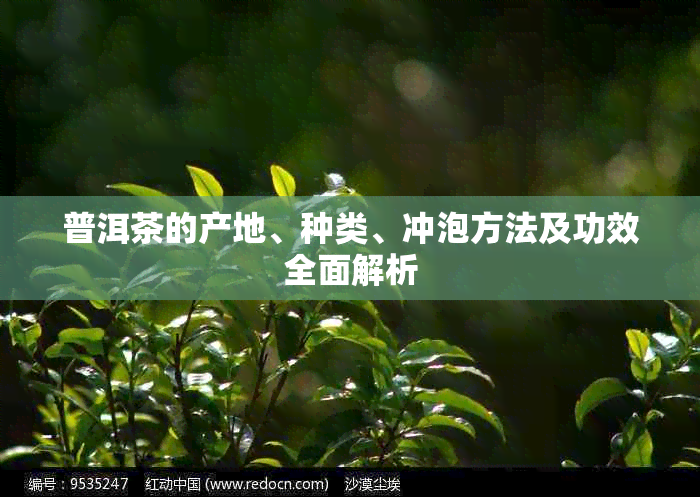 普洱茶的产地、种类、冲泡方法及功效全面解析